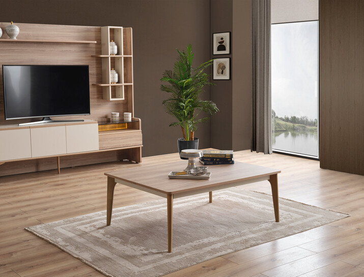 AYHANPARK KODU -04 - BİEN ORTA SEHPA