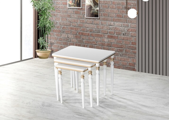 AYHANPARK KODU -64 - EMİR ZİGON SEHPA