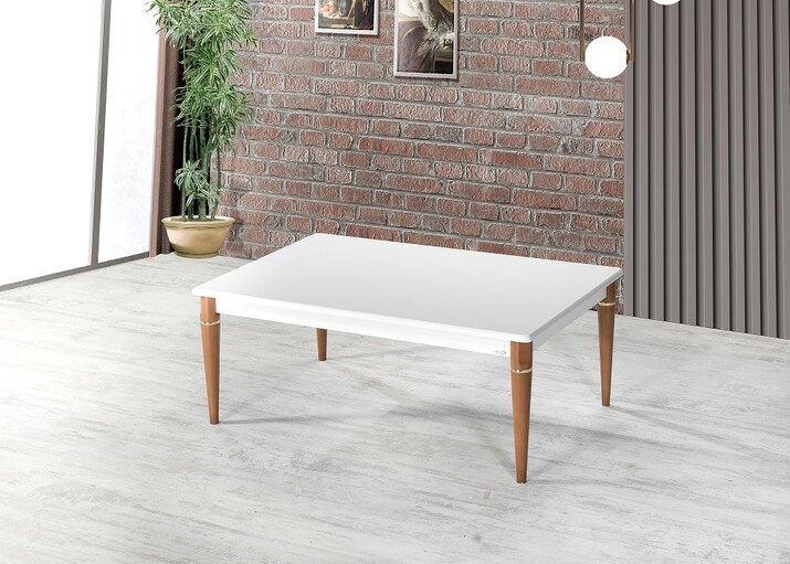 AYHANPARK KODU -64 - ERCE ORTA SEHPA