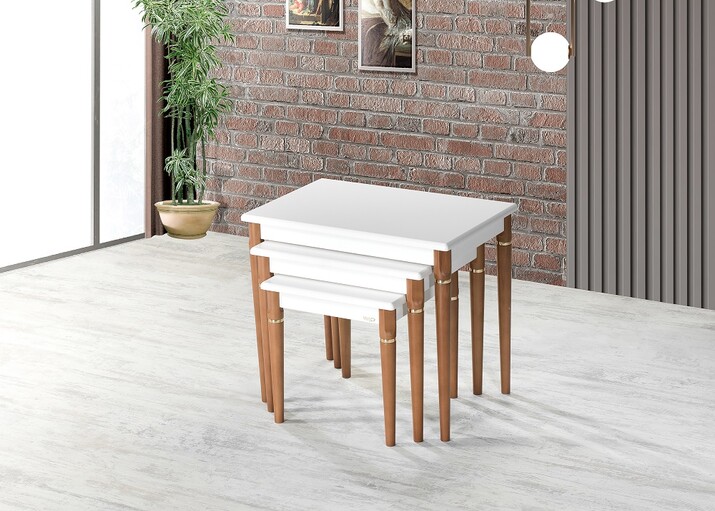 AYHANPARK KODU -64 - ERCE ZİGON SEHPA