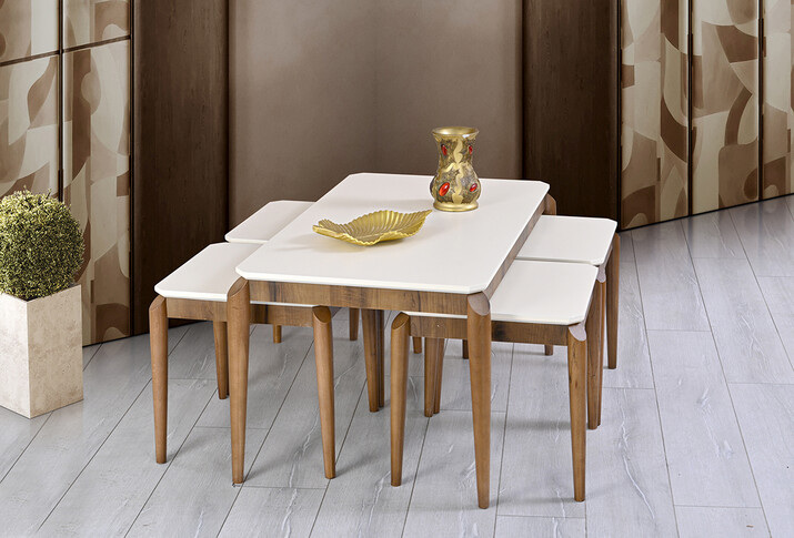 AYHANPARK KODU -64 - HİRA ORTA VE ZİGON SEHPA