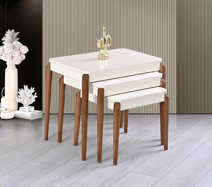 AYHANPARK KODU -64 - HİRA ZİGON SEHPA