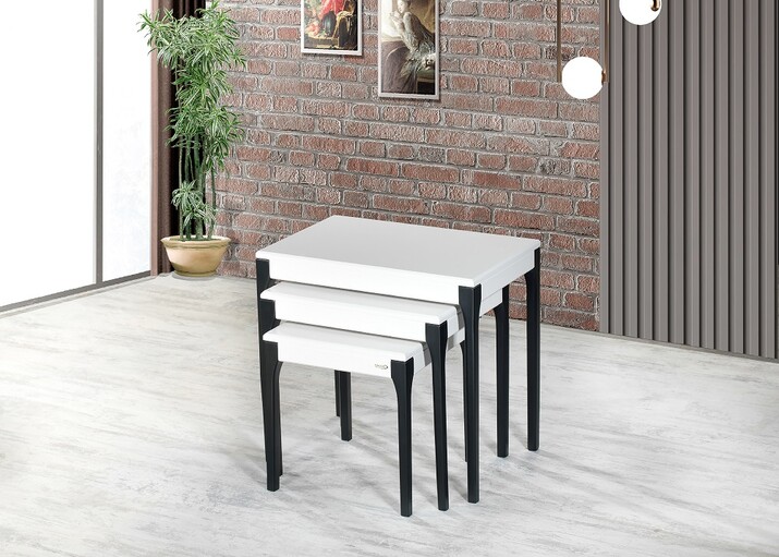 AYHANPARK KODU -64 - URAL ZİGON SEHPA